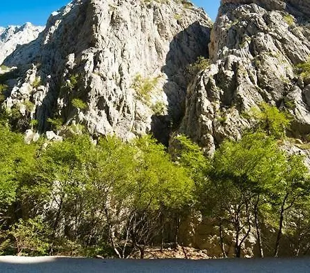 Carpe Diem * Novigrad (Dalmatia)