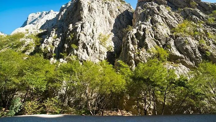 Carpe Diem * Novigrad (Dalmatia)